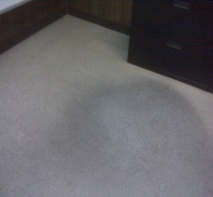 picture of floor with wear mark in wax