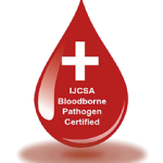 IJCSA bloodborne logo